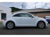 VOLKSWAGEN THE BEETLE