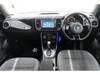 VOLKSWAGEN THE BEETLE
