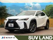 2018 LEXUS UX