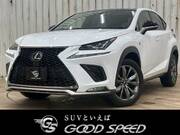 2019 LEXUS NX