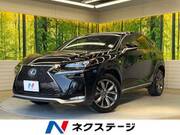 2014 LEXUS NX