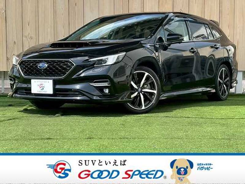 -LEVORG