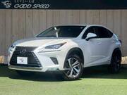 2018 LEXUS NX