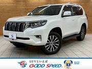 2019 TOYOTA LAND CRUISER PRADO