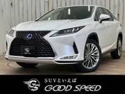 2019 LEXUS RX