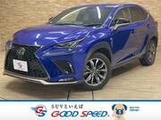 2019 LEXUS NX