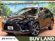 2020 LEXUS RX