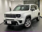 2019 CHRYSLER JEEP RENEGADE