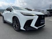 2022 LEXUS NX