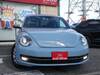 VOLKSWAGEN THE BEETLE