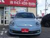 VOLKSWAGEN THE BEETLE