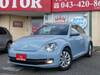 VOLKSWAGEN THE BEETLE