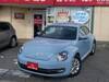 VOLKSWAGEN THE BEETLE