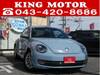 VOLKSWAGEN THE BEETLE