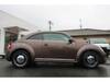 VOLKSWAGEN THE BEETLE