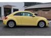VOLKSWAGEN THE BEETLE