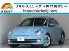 VOLKSWAGEN THE BEETLE
