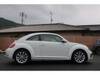 VOLKSWAGEN THE BEETLE