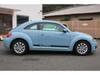VOLKSWAGEN THE BEETLE