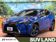 2019 LEXUS UX