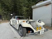 1992 MITSUOKA OTHER