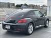 VOLKSWAGEN THE BEETLE