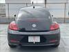 VOLKSWAGEN THE BEETLE