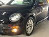VOLKSWAGEN THE BEETLE