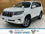 2019 TOYOTA LAND CRUISER PRADO TX