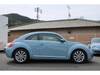VOLKSWAGEN THE BEETLE