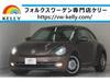 VOLKSWAGEN THE BEETLE