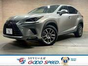 2018 LEXUS NX