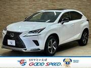 2020 LEXUS NX