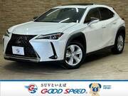 2020 LEXUS UX