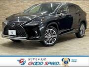 2019 LEXUS RX