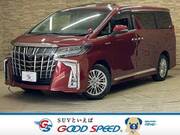 2019 TOYOTA ALPHARD HYBRID