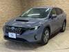 SUBARU OTHER