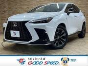 2022 LEXUS NX