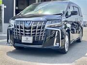 2019 TOYOTA ALPHARD HYBRID