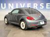 VOLKSWAGEN THE BEETLE
