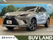 2021 LEXUS NX