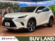 2018 LEXUS NX