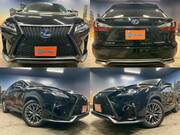 2019 LEXUS RX