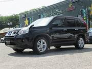 2010 NISSAN X-TRAIL