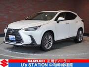 2022 LEXUS NX
