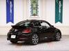 VOLKSWAGEN THE BEETLE
