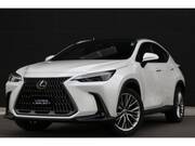 2022 LEXUS NX