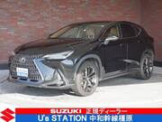 2022 LEXUS NX