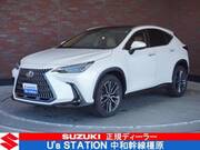2024 LEXUS NX
