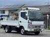FUSO CANTER GUTS